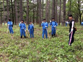 令和元年度 吉田高校学校林下草刈りが行われました