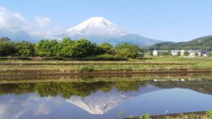 吉高の風景～富士山の農鳥～