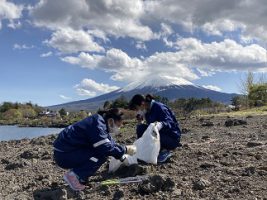 富士山環境保全活動のボランティアを（放送部・数理部生物班）協力して行いました