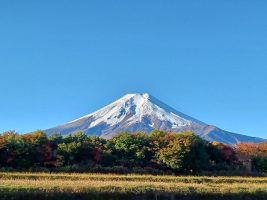 １１月１０日(金）の富士山です。