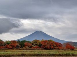 １１月１０日(金）の富士山です。