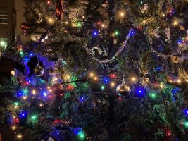 令和５年度クリスマスツリー点灯式が行われました。
