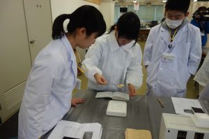 医療系薬学セミナーが行われました