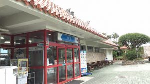 修学旅行団 美ら海水族館の様子です