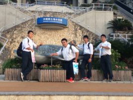 修学旅行団 美ら海水族館の様子です