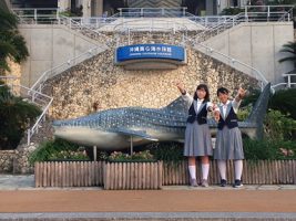 修学旅行団 美ら海水族館の様子です