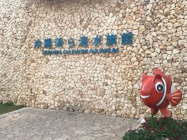修学旅行団 美ら海水族館の様子です