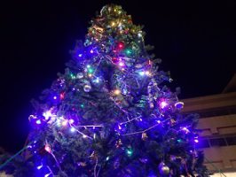クリスマスツリー点灯式が行われました