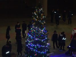 クリスマスツリー点灯式が行われました