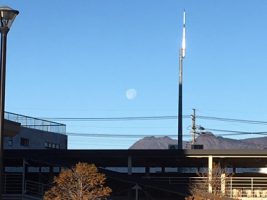 明けましておめでとうございます