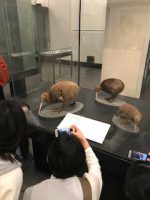 ニュージーランド短期海外研修情報5