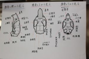 平成29年度吉高春の芸術鑑賞ウイーク始まりました