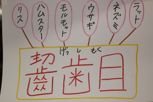 平成29年度吉高春の芸術鑑賞ウイーク始まりました