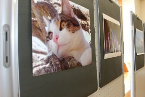 平成29年度吉高春の芸術鑑賞ウイーク始まりました