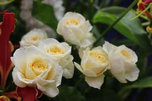 平成30年度入学式が行われました