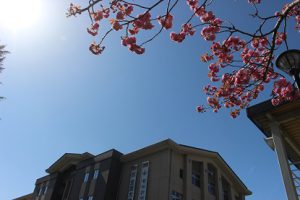 吉高のちょっとした風景