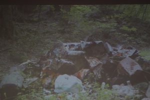 平成30年度第2学年総合的な学習の時間「富士山学」講演会が行われました