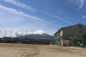 青葉若葉の季節です