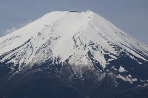 青葉若葉の季節です