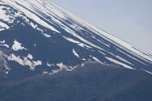 青葉若葉の季節です