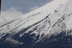 青葉若葉の季節です