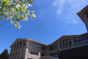青葉若葉の季節です