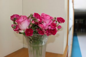 平成30年5月15日（火）今週も始まりました