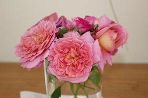 平成30年5月15日（火）今週も始まりました