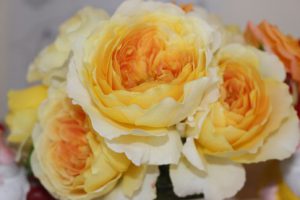 平成30年5月15日（火）今週も始まりました
