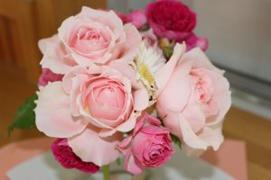 平成30年5月15日（火）今週も始まりました