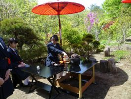 茶道部 春のお茶会の様子です