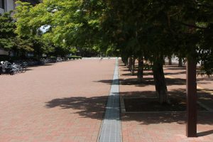 山梨県高等学校総合体育大会2日目の様子です