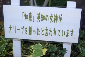 平成30年6月4日（月）今週も始まりました