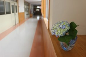 6月11日（月）今週も始まりました