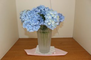6月11日（月）今週も始まりました