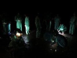 平成30年度第2学年「富士山学」校外学習が行われました