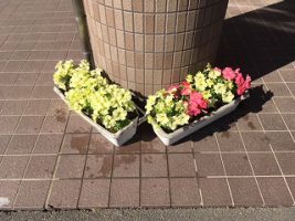 週末の3年生の様子です