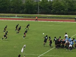 6月11日（月）今週も始まりました
