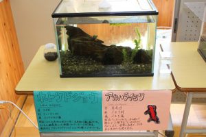 第69回蒼風祭 文化部展示の様子です