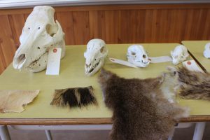 第69回蒼風祭 文化部展示の様子です