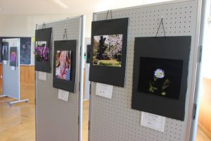 第69回蒼風祭 文化部展示の様子です