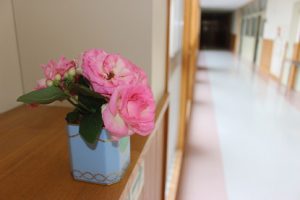 7月に入りました