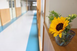 7月に入りました