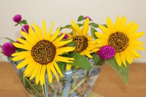 8月27日(月)今週も始まりました