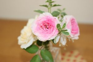 明日9月15日(土)は定期試験前のオープンスタディーです