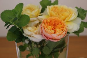 10月15日(月)今週も始まりました