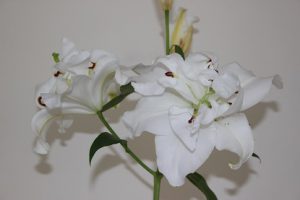 10月29日（月）今週も始まりました