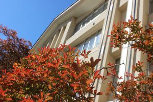 10月29日（月）今週も始まりました