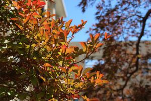 10月29日（月）今週も始まりました