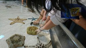 2学年沖縄修学旅行情報Vol.3